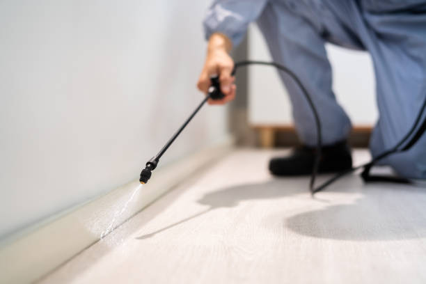 Licensed Termite Control service in Tecumseh, MI - Show Me Pest Control