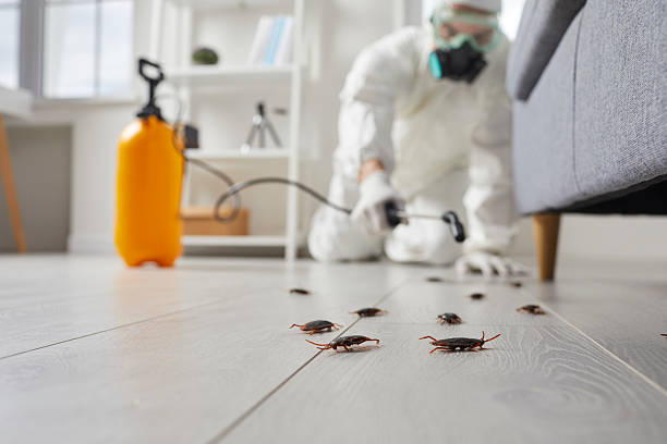 Commercial Rodent Management in Tecumseh